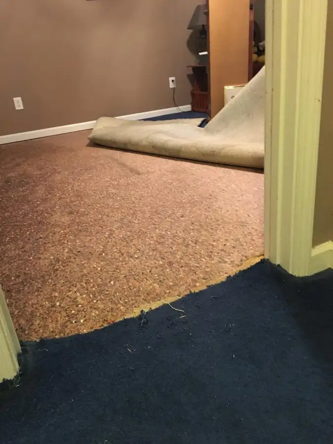 Carpet pad removal revealing water damage during Water Mitigation Services in Crystal