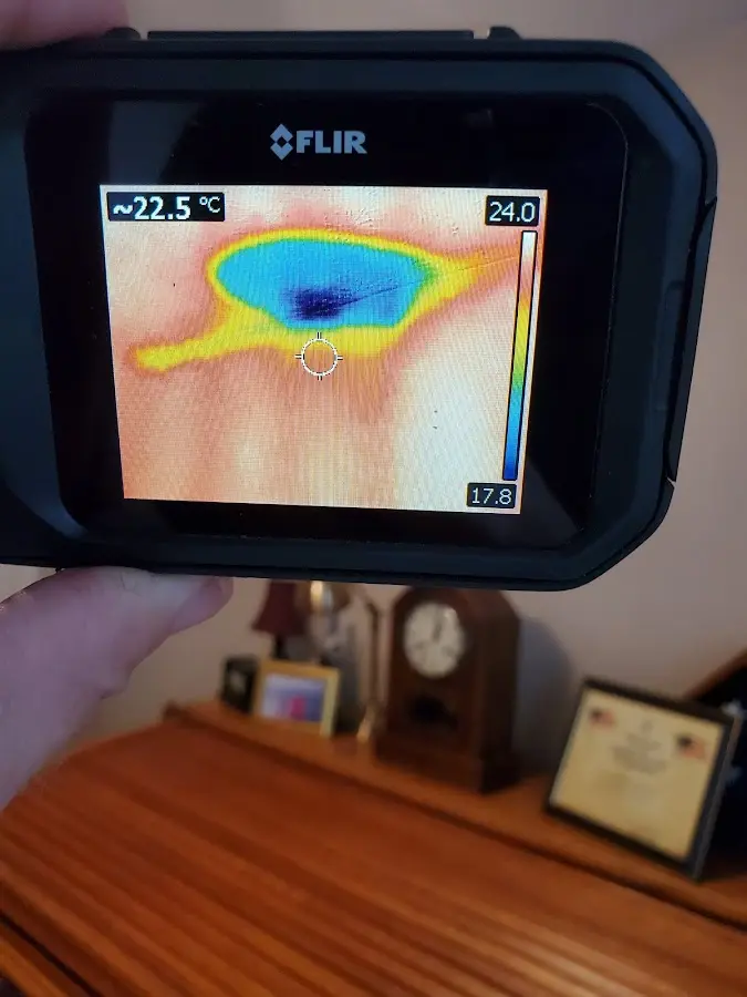 Thermal imaging inspection for water damage in Crystal